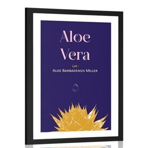 Plagát s paspartou a nápisom Aloe Vera