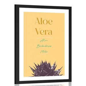 Plagát s paspartou a štýlovým nápisom Aloe Vera