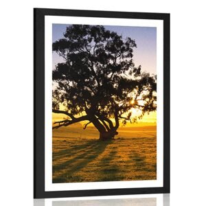 Plagát s paspartou osamelý strom pri západe slnka