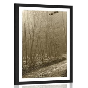 Plagát s paspartou sépiová cestička do lesa