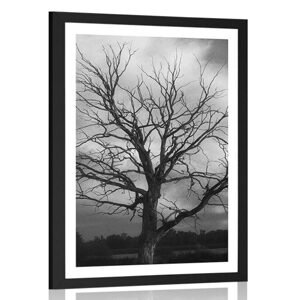 Plagát s paspartou čiernobiely strom na lúke