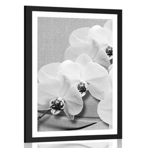 Plagát s paspartou orchidea na plátne v čiernobielom prevedení