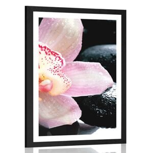Plagát s paspartou exotická orchidea
