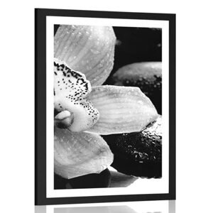 Plagát s paspartou exotická orchidea v čiernobielom prevedení