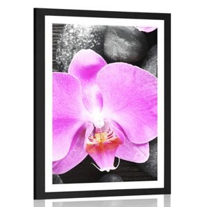 Plagát s paspartou nádherná orchidea a kamene