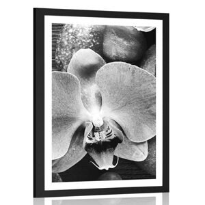 Plagát s paspartou nádherná orchidea a kamene v čiernobielom prevedení