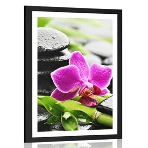Plagát s paspartou wellness zátišie s fialovou orchideou