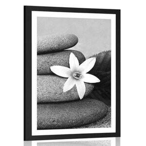 Plagát s paspartou kvet a kamene v piesku v čiernobielom prevedení