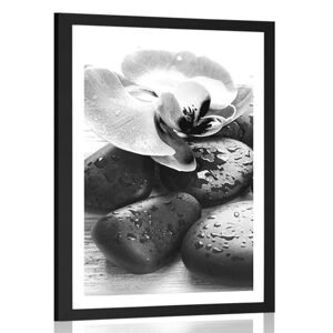Plagát s paspartou krásna súhra kameňov a orchidey v čiernobielom prevedení