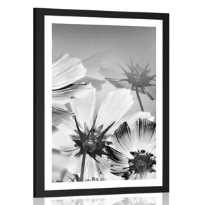 Plagát s paspartou záhradné kvety v čiernobielom prevedení