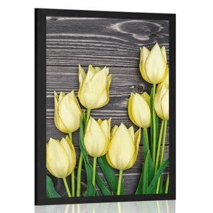 Plagát žlté tulipány na drevenom podklade