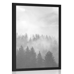 Plagát hmla nad lesom v čiernobielom prevedení