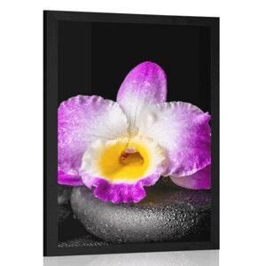 Plagát s paspartou fialová orchidea na Zen kameňoch