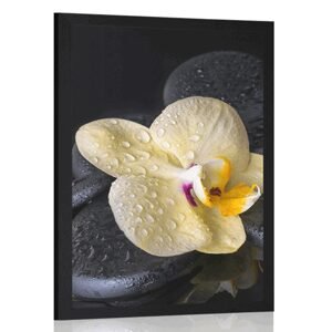 Plagát Zen kamene so žltou orchideou