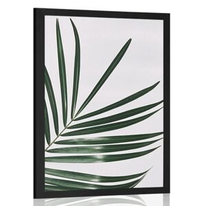 Plagát nádherný palmový list
