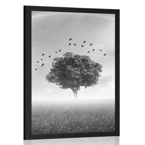 Plagát osamelý strom na lúke v čiernobielom prevedení