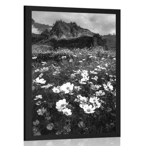 Plagát lúka kvitnúcich kvetov v čiernobielom prevedení