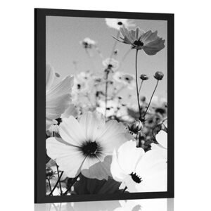Plagát lúka jarných kvetov v čiernobielom prevedení