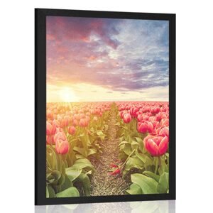 Plagát východ slnka nad lúkou s tulipánmi