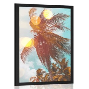 Plagát lúče slnka medzi palmami