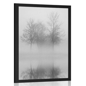 Plagát stromy v hmle v čiernobielom prevedení