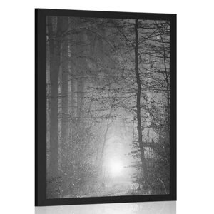 Plagát svetlo v lese v čiernobielom prevedení