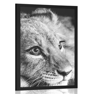Plagát mláďa leva v čiernobielom prevedení