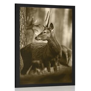 Plagát jeleň v borovicovom lese v sépiovom prevedení