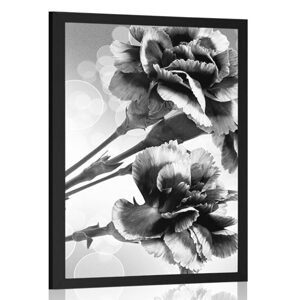 Plagát kvet karafiátu v čiernobielom prevedení