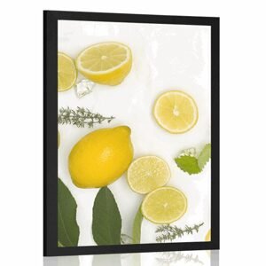 Plagát zmes citrusových plodov