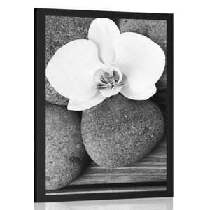 Plagát wellness kamene a orchidea na drevenom pozadí v čiernobielom prevedení