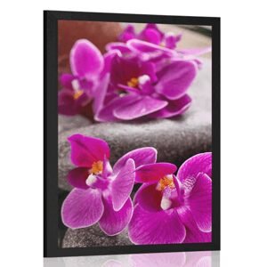 Plagát nádherná orchidea a Zen kamene