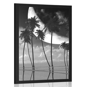 Plagát západ slnka nad tropickými palmami v čiernobielom prevedení