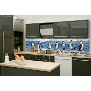 Samolepiaca fototapeta do kuchyne tučniaci