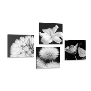 Set obrazov čiernobiela krása kvetov s motýľom