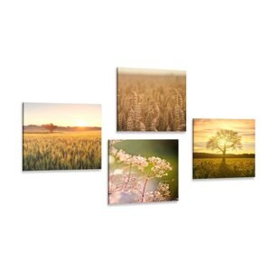 Set obrazov pole pri západe slnka