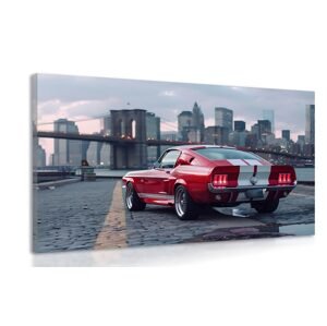 Obraz Mustang s panorámou New Yorku