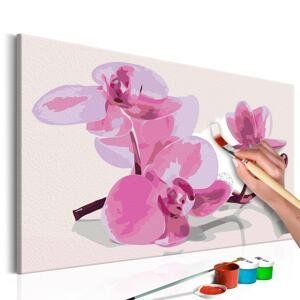 Obraz maľovanie podľa čísiel orchidea - Orchid Flowers