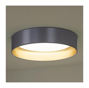 - LED Stropné svietidlo ROLLER LED/24W/230V strieborná/zlatá