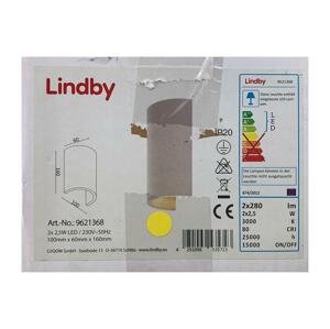 Lindby Lindby - LED Nástenné svietidlo JENKE 2xLED/2,5W/230V