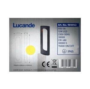 Lucande Lucande - LED Vonkajšia lampa FENTI LED/12W/230V IP65