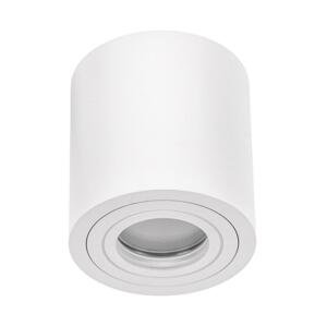 Kúpeľňové bodové svietidlo CHLOE 1xGU10/30W/230V IP65 guľatý biela