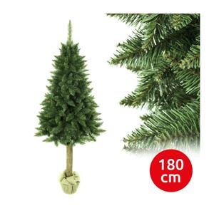 Vianočný stromček na kmeni 180 cm jedľa
