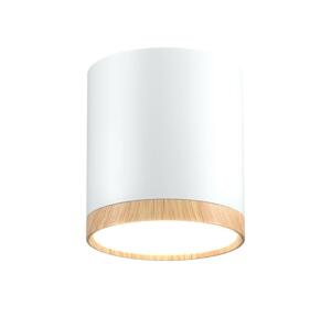 LED Stropné svietidlo TUBA LED/5W/230V biela/béžová