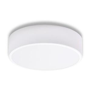 Kúpeľňové stropné svietidlo CLEO 2xE27/24W/230V pr. 30 cm biela IP54