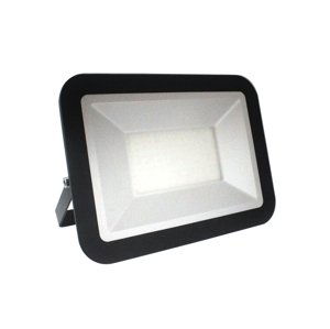 LED Reflektor LED/100W/230V IP65