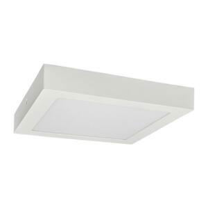 Greenlux LED Stropné svietidlo FENIX LED/24W/230V 2800K 29,8 cm