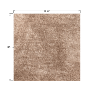 Shaggy koberec ANNAG Tempo Kondela 80x150 cm