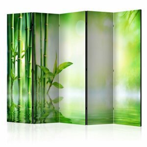 Paraván Green Bamboo Dekorhome 225x172 cm (5-dielny)