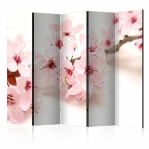 Paraván Cherry Blossom Dekorhome 225x172 cm (5-dielny)